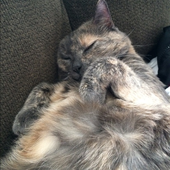 Welcome to my closet! - Picture 1 of 2